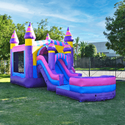 IMG 6078 1785017691 Bubblegum Blast Combo (Wet/Dry)