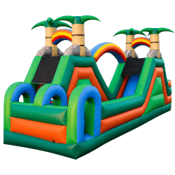 Twin Peaks Waterslide (Wet/Dry)